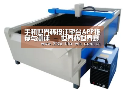 产品名称十五