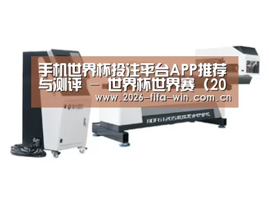 案例展示四