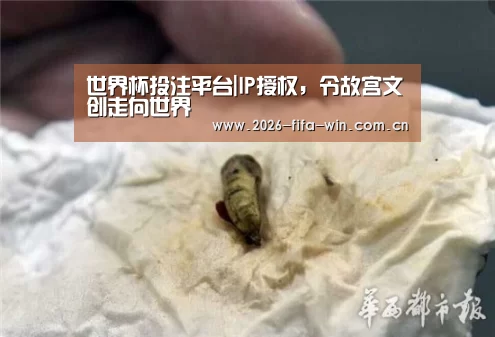 世界杯投注平台|IP授权,令故宫文创走向世界(图1) 世界杯投注app
