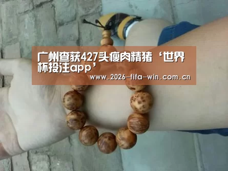 广州查获427头瘦肉精猪‘世界杯投注app’(图2) 世界杯投注app