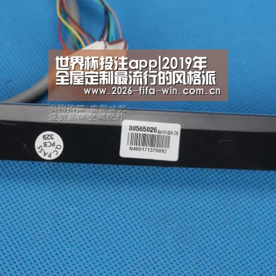 世界杯投注平台