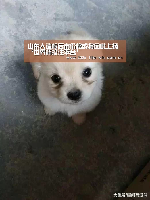 世界杯投注app